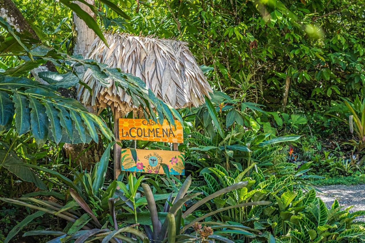 Casa La Colmena Villa Cahuita Eksteriør billede